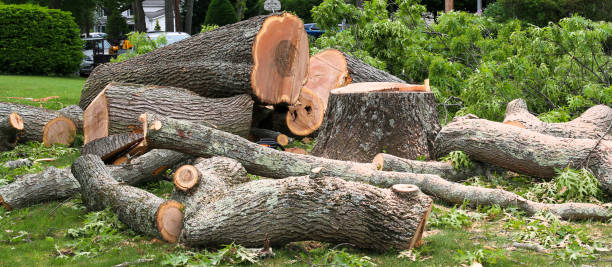 Leaf Removal in Mcconnellstown, PA