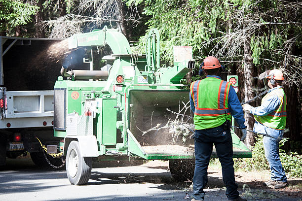 Grass Overseeding in Mcconnellstown, PA